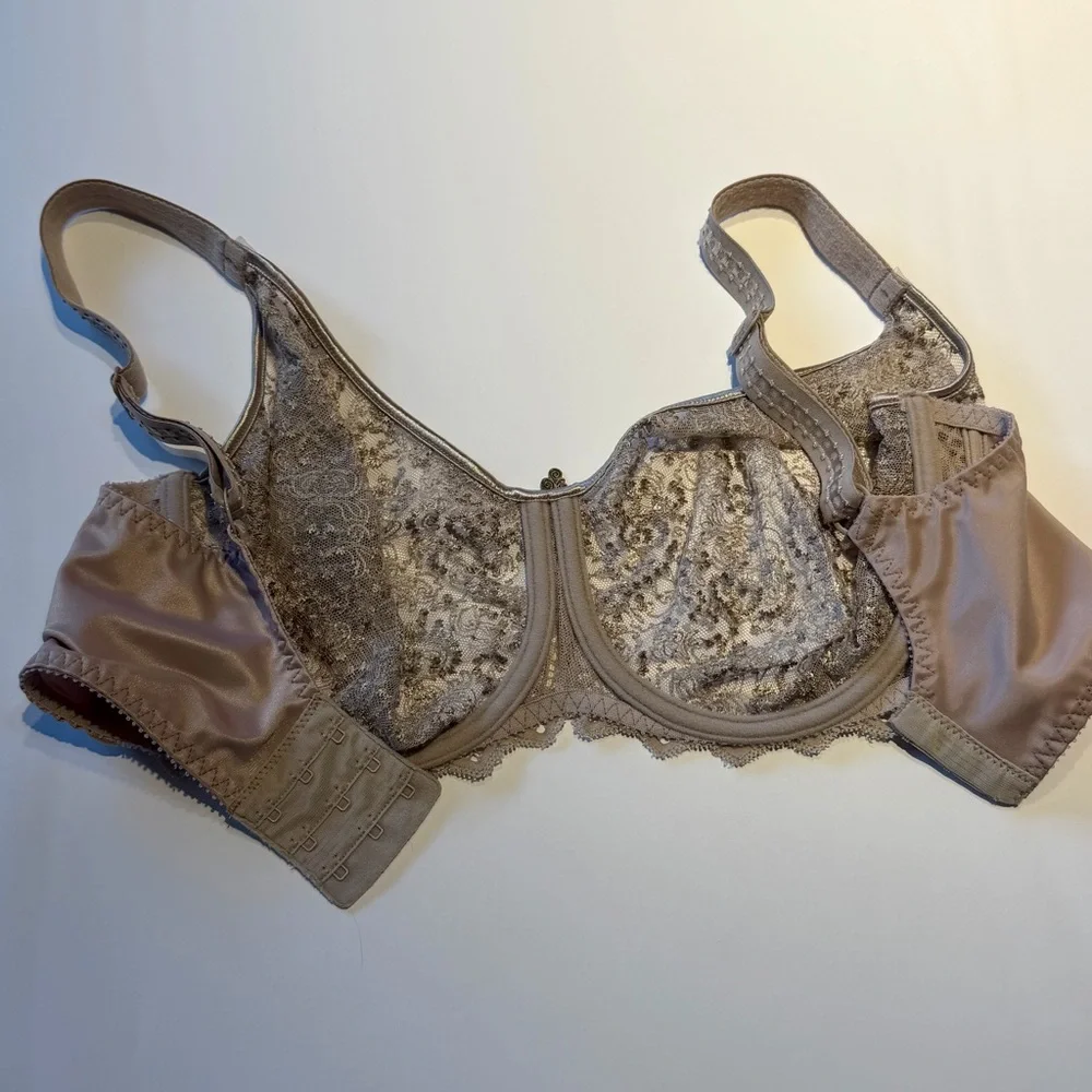 Empreinte 32F Cassiopee 07151 Embroidered French Lace Unlined Bra Rose Savauge - Picture 12 of 16